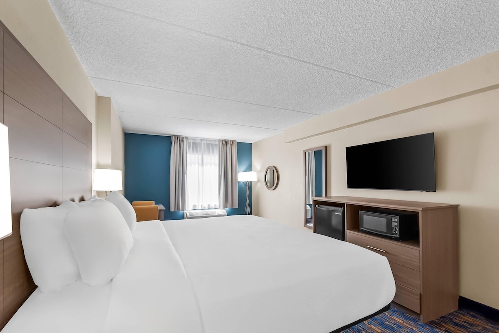 Standard Room, 1 King Bed, Non Smoking