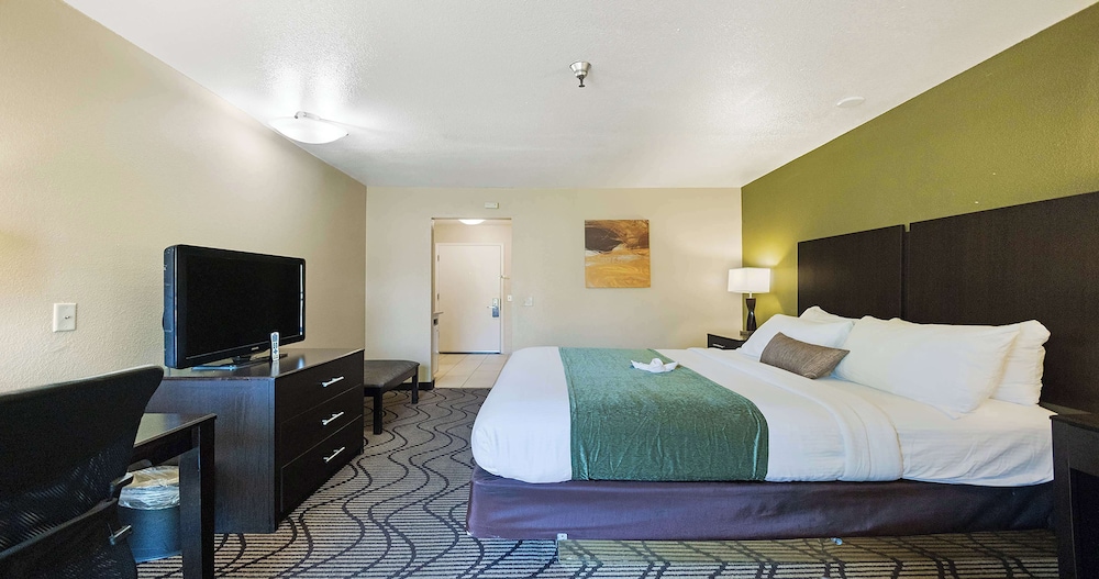 Standard Room, 1 King Bed, Non Smoking, Refrigerator & Microwave - Photo 9