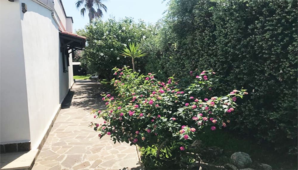 Villa, 2 Bedrooms, Smoking, Patio photo 3