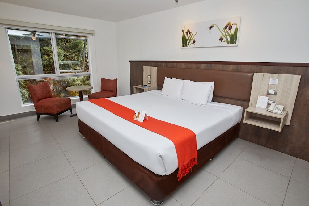 Junior Room, 1 King Bed photo 1