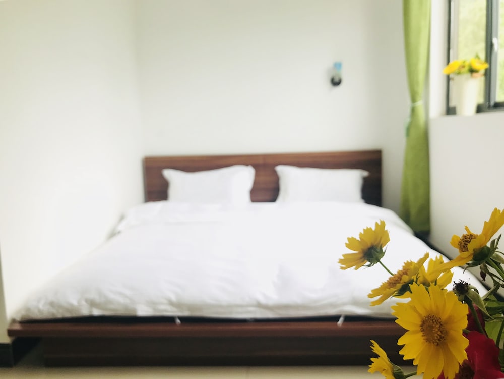 Economy Twin Room, Mountain View photo 1