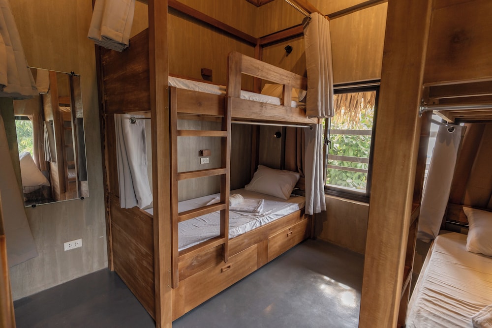 Comfort Shared Dormitory photo 1