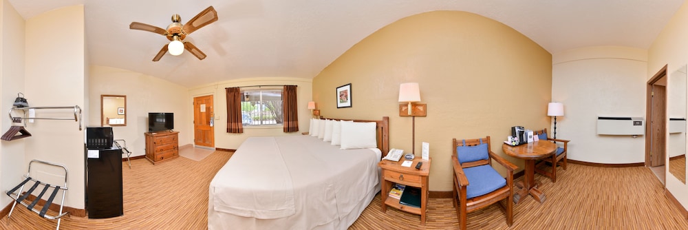 Room, 1 King Bed photo 3