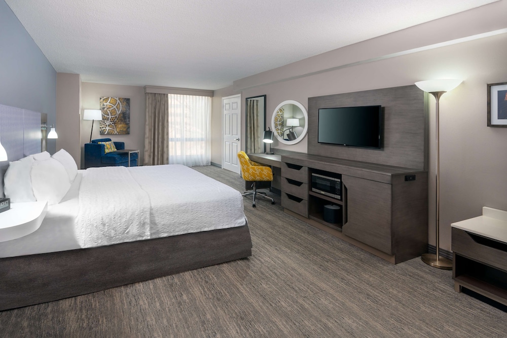 Modern King Accessible Room with Roll-In Shower - Photo 1