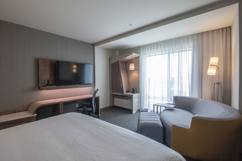 Room, 1 King Bed with Sofa bed (Mobility/Hearing Access, Roll-In Shwr) - Photo 1