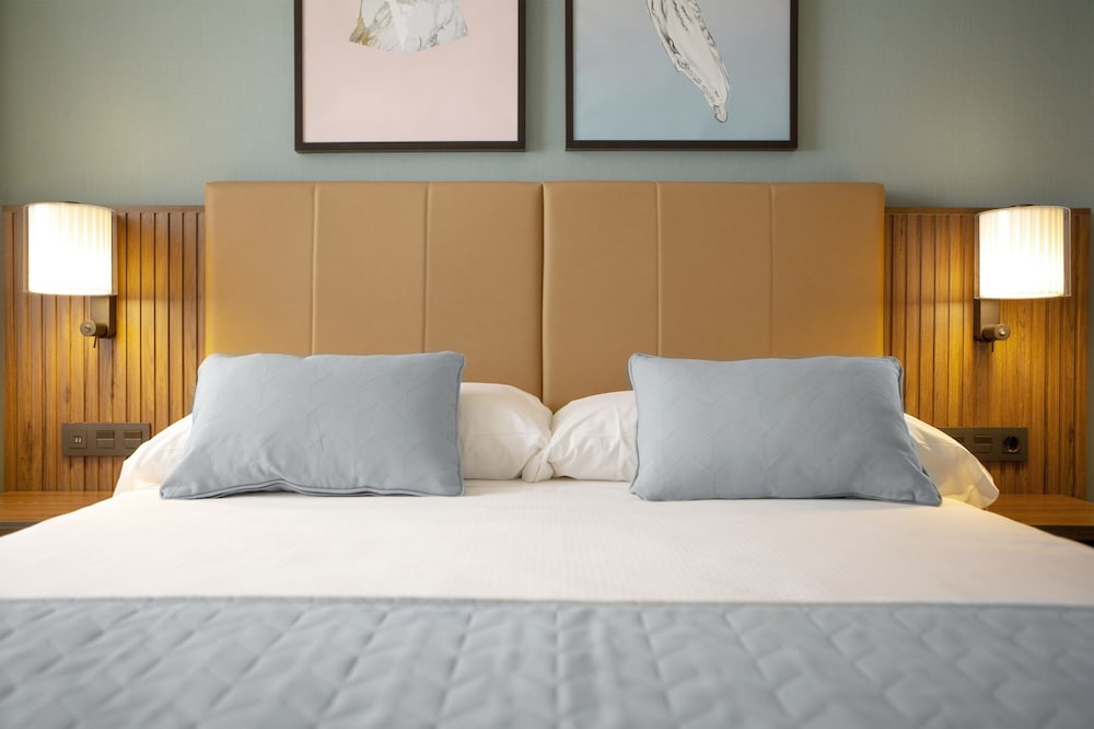 Deluxe Room (Superior King)