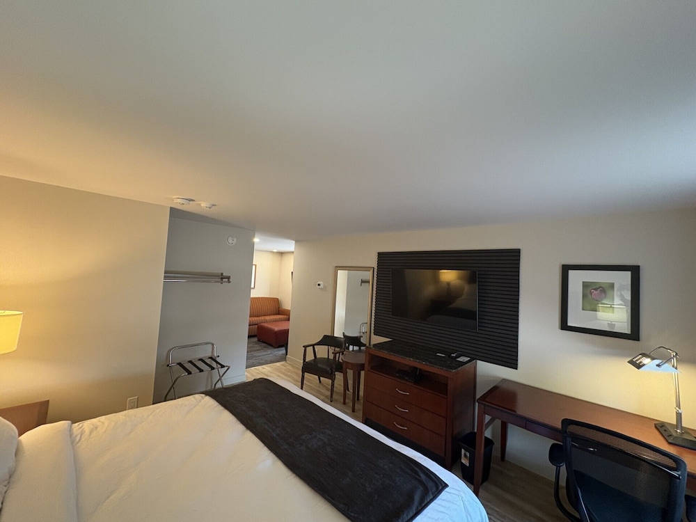 Standard Room, 1 King Bed with Sofa bed, Non Smoking, Housekeeping photo 2