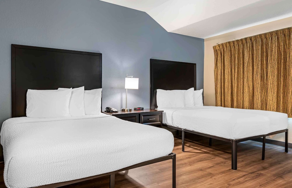 Deluxe Studio, Multiple Beds, Non Smoking