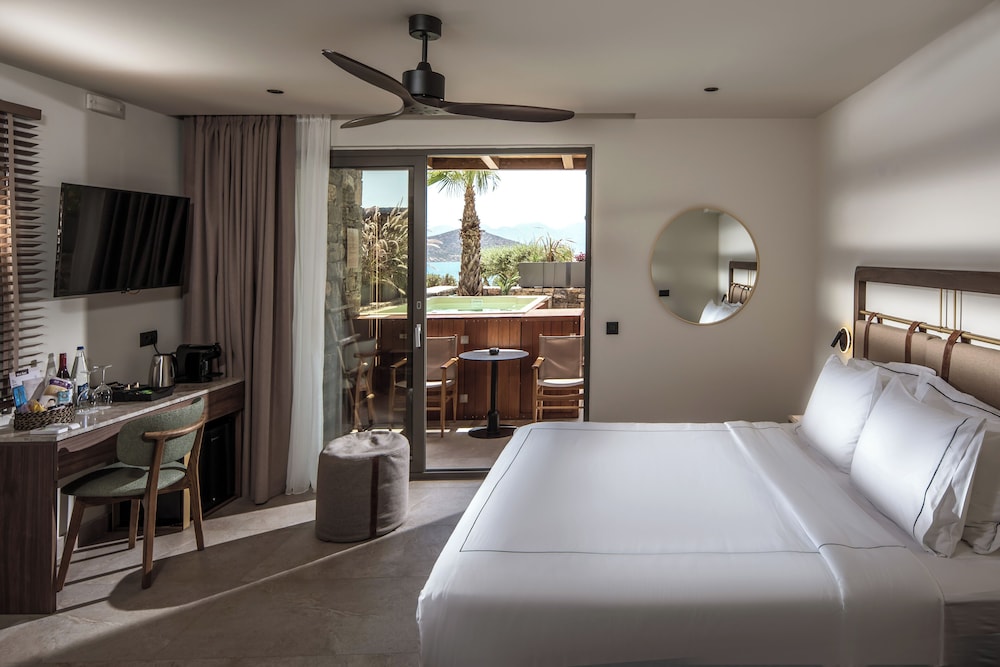 Luxury Room with Plunge Pool