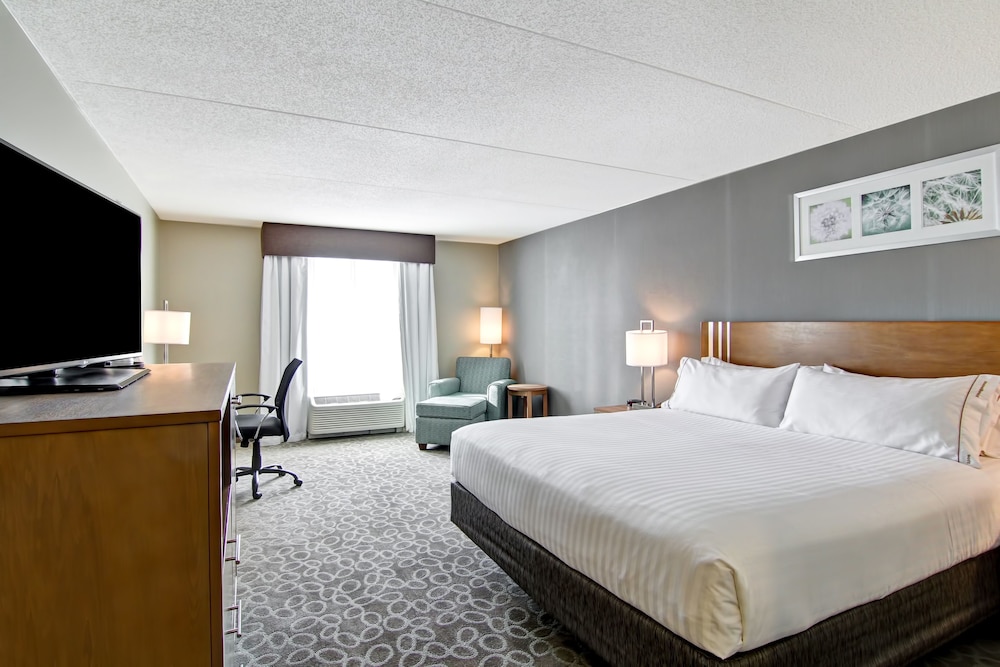 Suite, 1 King Bed with Sofa bed photo 2