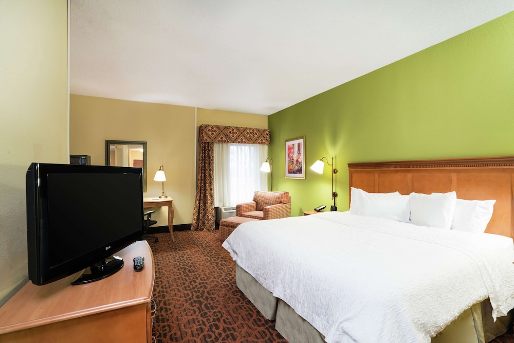 Suite, 1 King Bed, Non Smoking photo 1