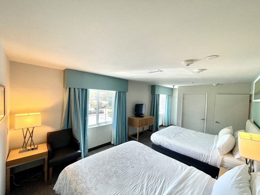 Superior Suite, 2 Queen Beds, Accessible (Smoke Free, Roll-In Shower) - Photo 1