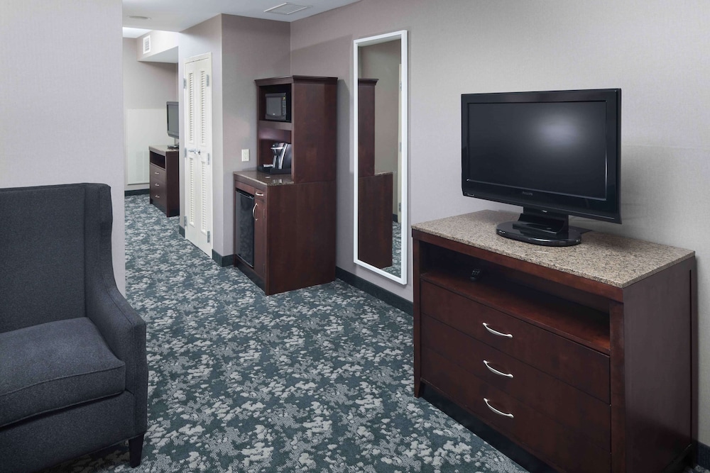 Deluxe Suite, 1 King Bed photo 1