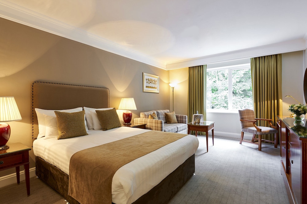 Superior Queen (1 Queen bed) photo 1