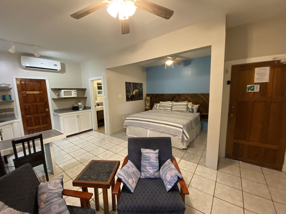 Deluxe Studio Suite, 1 King Bed, Kitchenette, Garden View photo 1