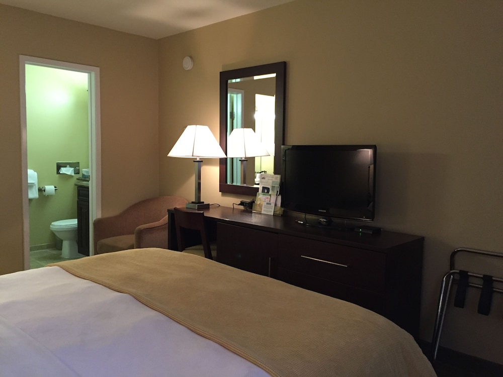 Standard Room, 1 King Bed
