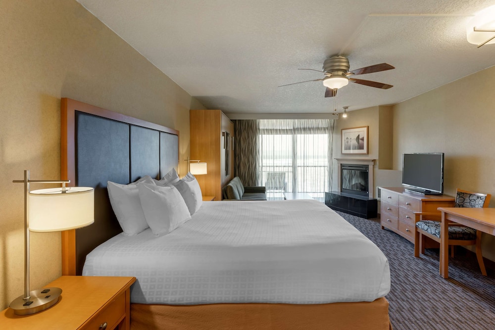 Standard Room, Multiple Beds, Non Smoking, Kitchenette photo 1