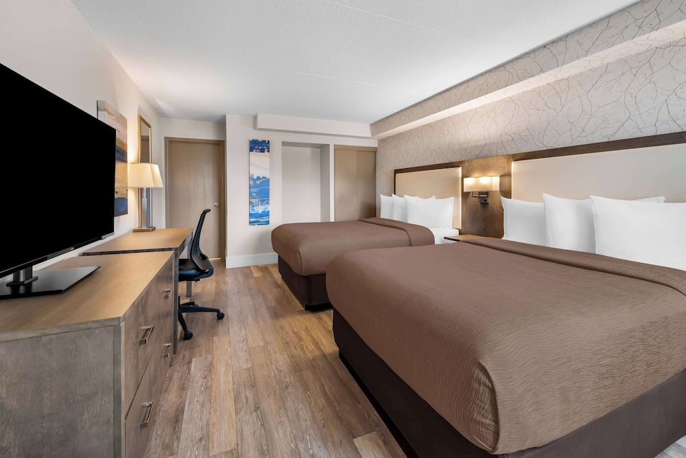 Standard Room, 2 Queen Beds, Non Smoking, Refrigerator & Microwave (Pet Friendly) photo 1
