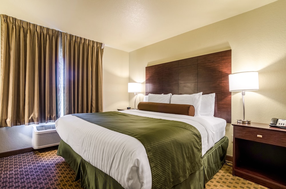 Room, 1 King Bed, Accessible, Non Smoking photo 2