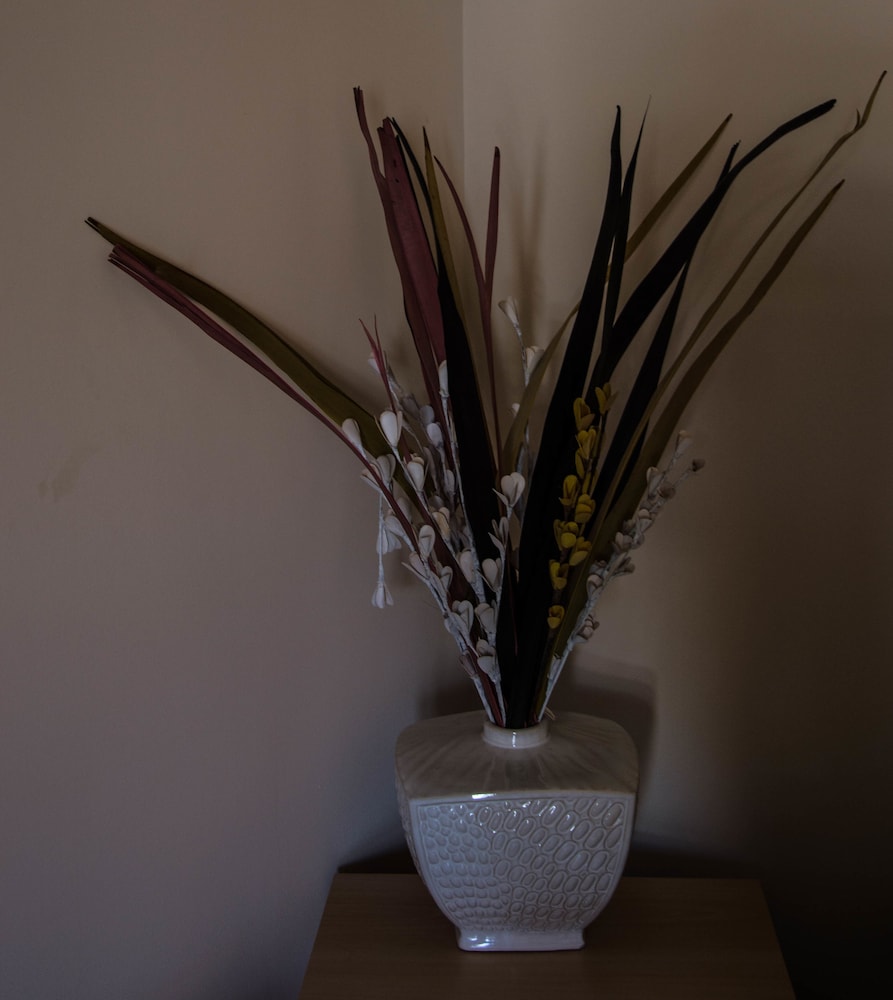 Classic Single Room photo 3