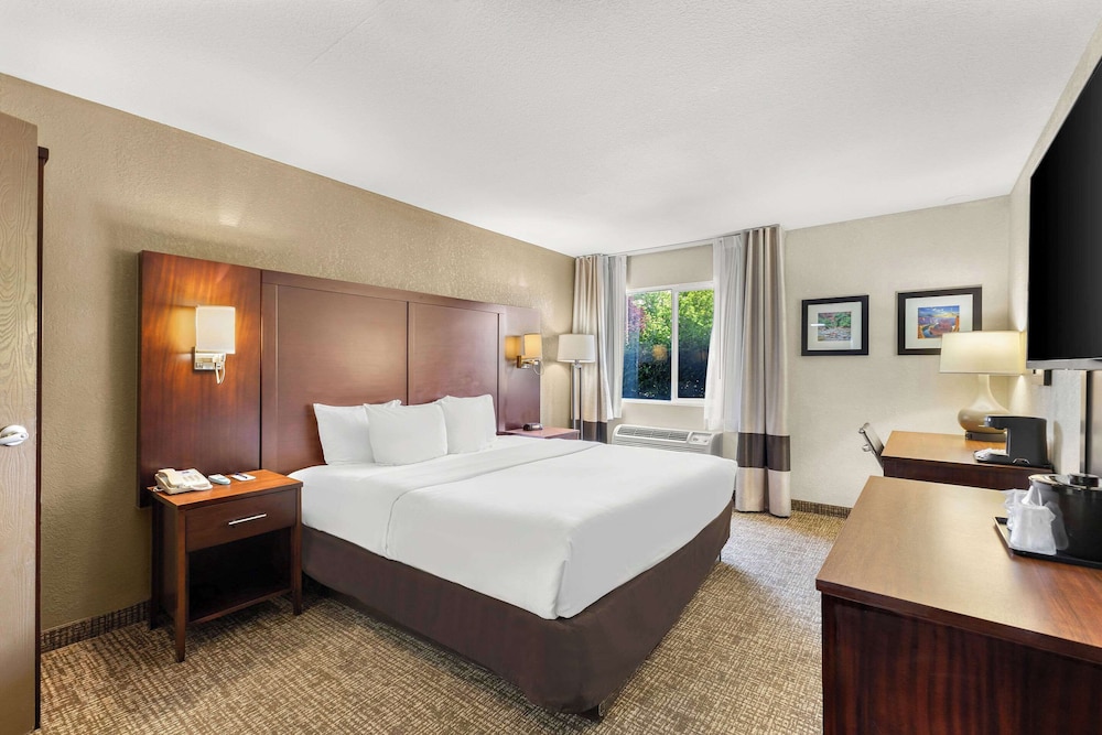 Suite, 1 King Bed, Non Smoking photo 1