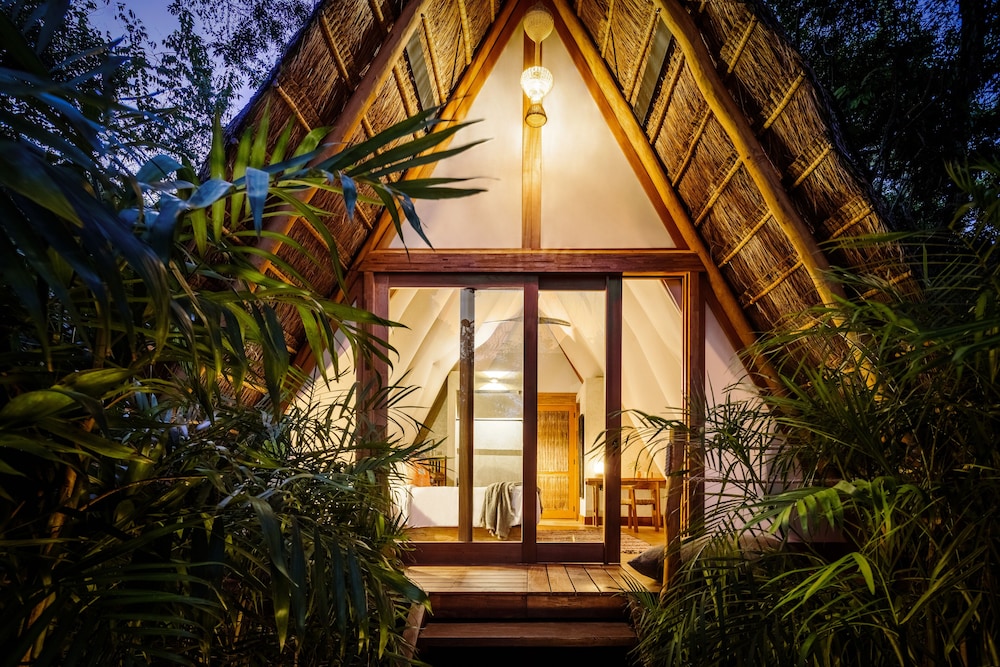 Room (Jungle) - Photo 2
