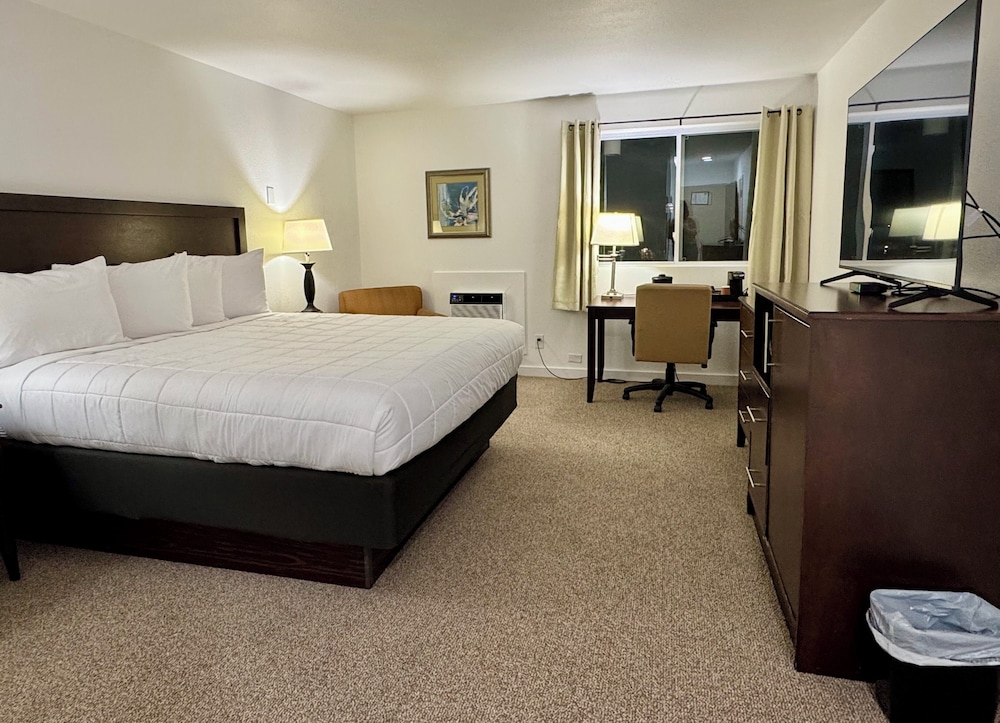 Deluxe Single Room photo 2