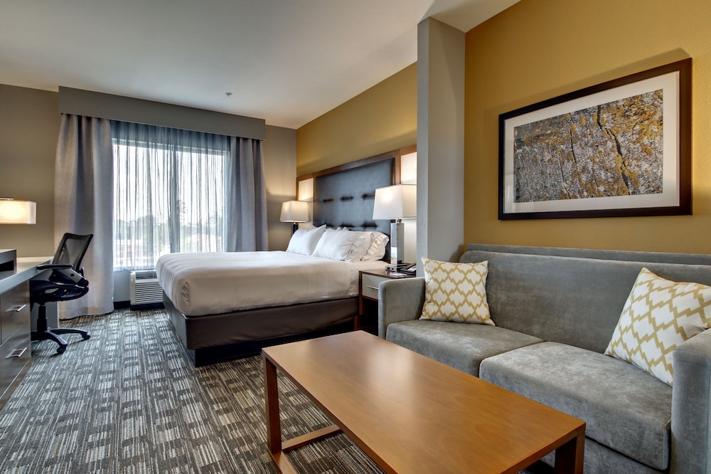 Suite, 1 King Bed, Non Smoking photo 2
