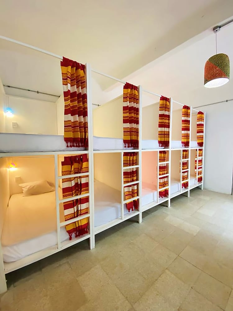 Basic Shared Dormitory (10 beds)