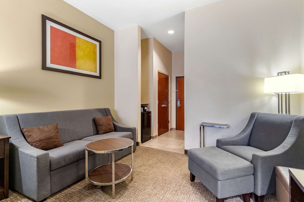 Suite, 1 King Bed with Sofa bed, Non Smoking photo 1