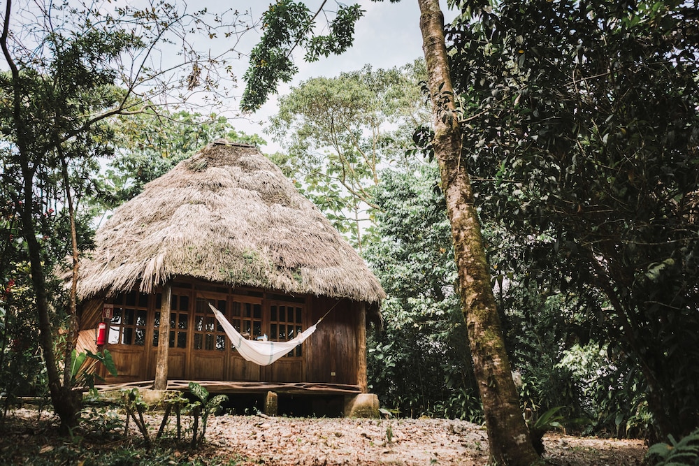 Comfort Bungalow, 1 Bedroom, Ensuite photo 3