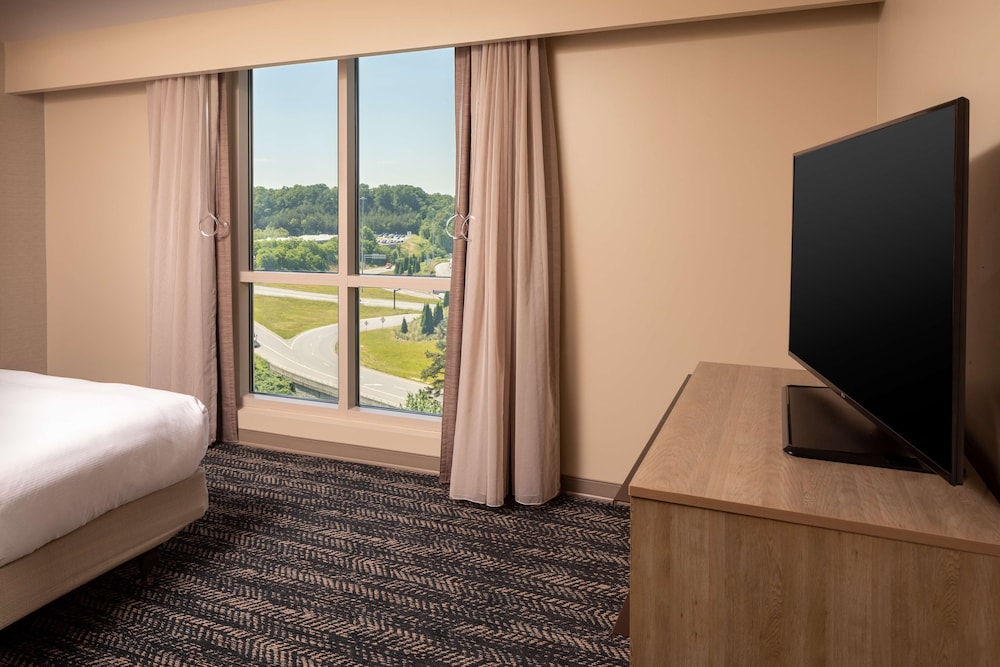 Suite, 1 King Bed, Accessible, Bathtub (Mobility & Hearing) - Photo 4