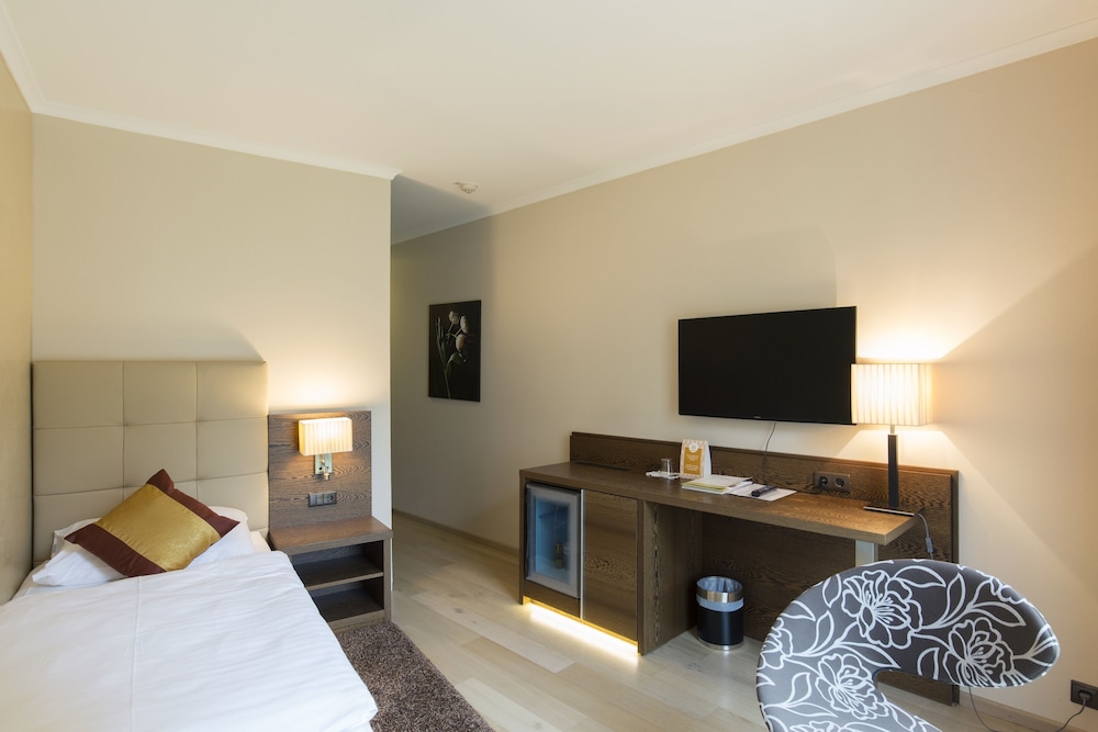 Business Single Room, Allergy Friendly photo 3