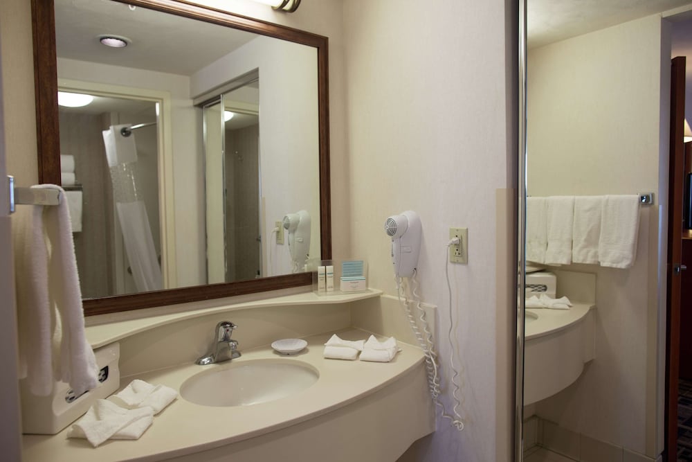Suite, 1 Bedroom - Photo 8