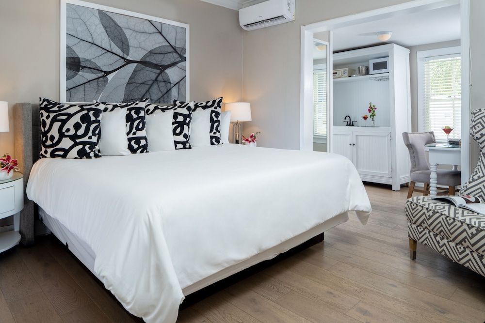 Deluxe Room, 1 King Bed, Refrigerator (Room 4)