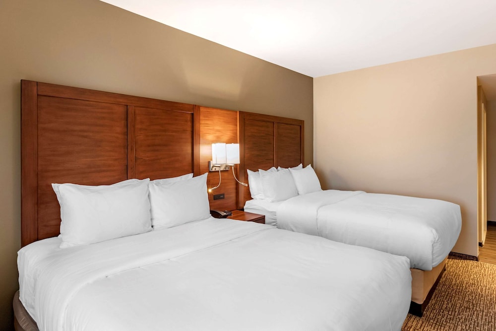 Standard Room, Multiple Beds, Non Smoking - Photo 5