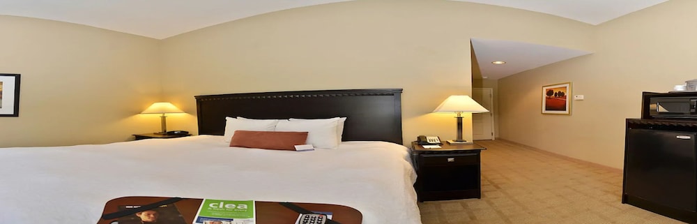 Room, 1 King Bed, Accessible, Non Smoking - Photo 1