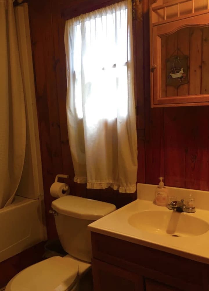 Basic Cabin photo 3