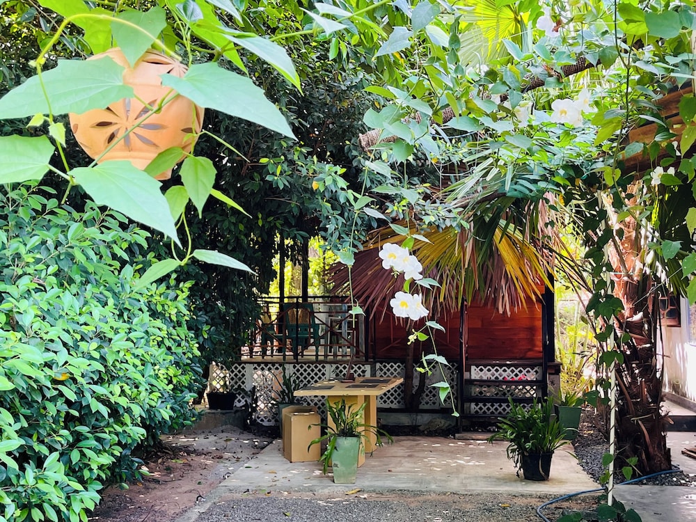 Soul Cabana - Photo 1