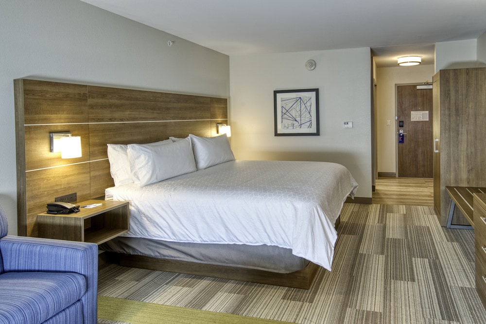 Suite, 1 King Bed photo 1