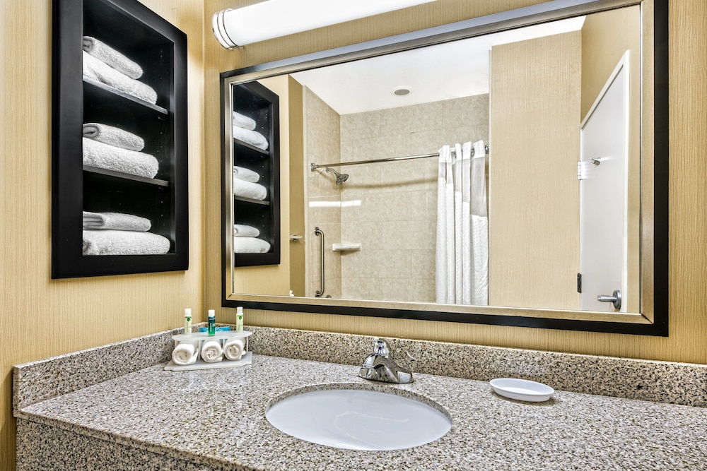 Suite, 1 King Bed - Photo 4