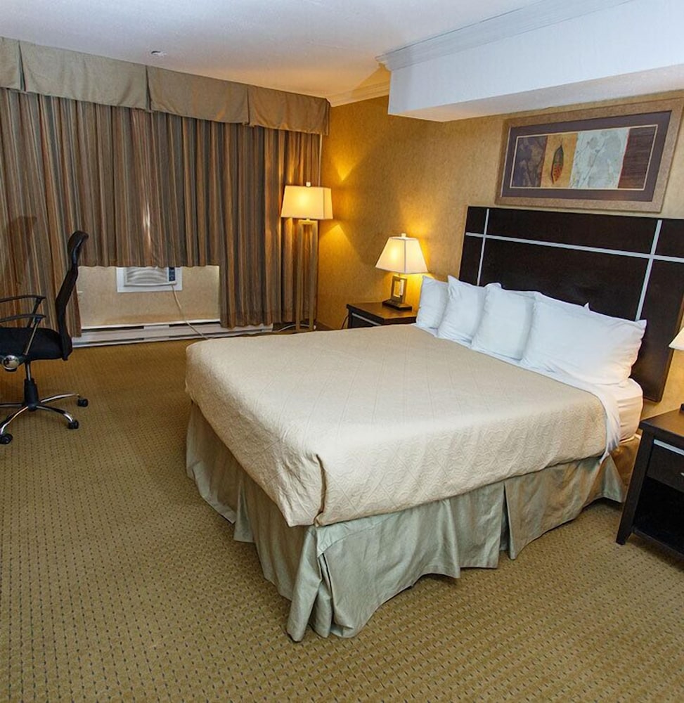 Standard Single Room photo 2