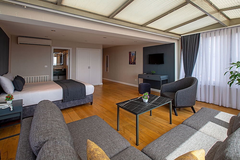 Deluxe Studio Suite, 1 Queen Bed with Sofa bed, City View photo 1