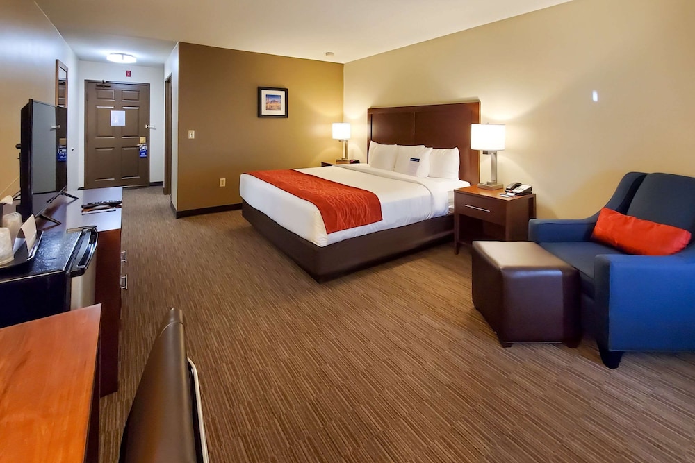 Standard Room, 1 King Bed, Non Smoking photo 2
