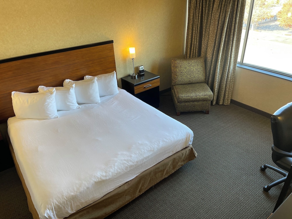 Room, 1 King Bed with Sofa bed, Non Smoking