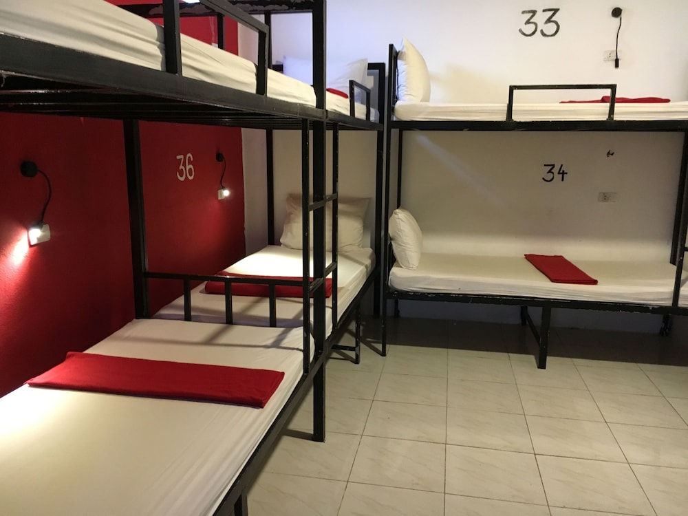 Standard Shared Dormitory photo 3