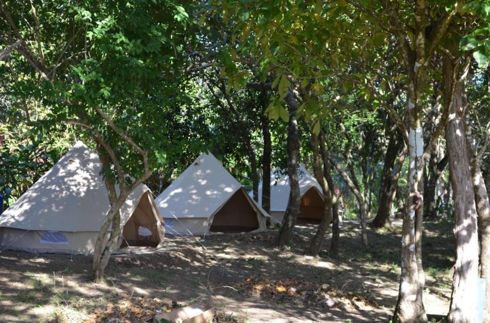 Tent photo 3