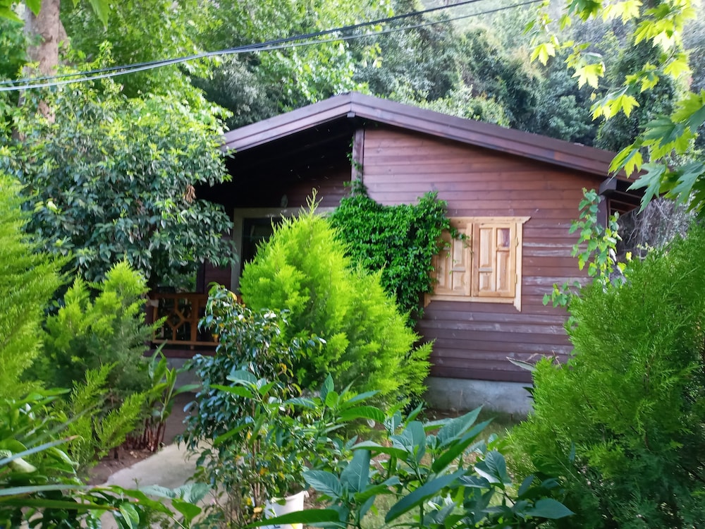 Bungalow photo 2