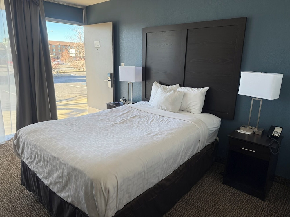 Room, 1 Queen Bed