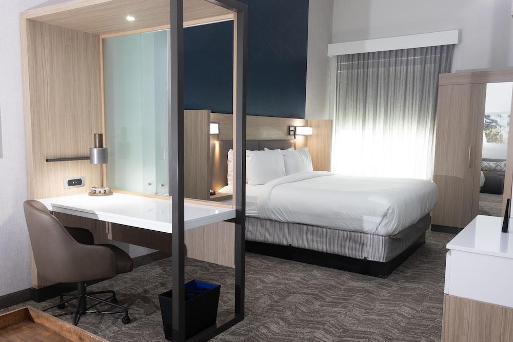 Suite, 1 King Bed with Sofa bed